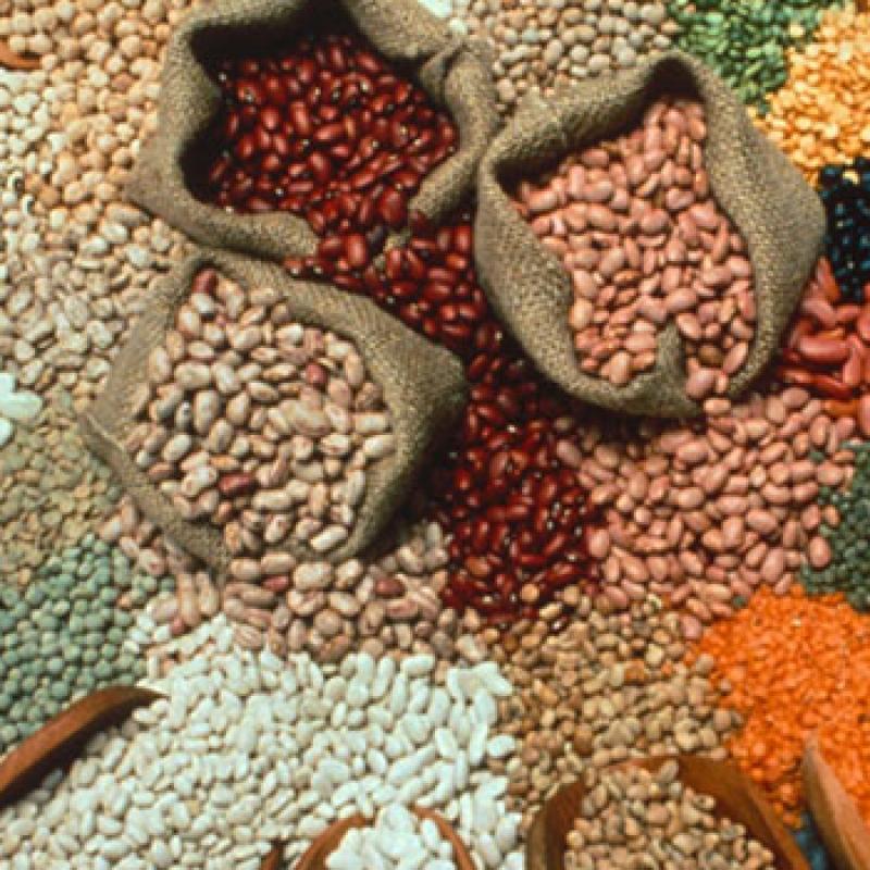 Крупы (зерновые культуры) купить оптом - компания Nile Herbal Co | Египет