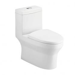 HDC6209 One-Piece Toilet buy on the wholesale