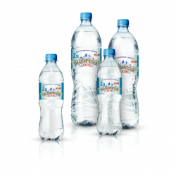 Academic Anatis Drinking Water  buy on the wholesale