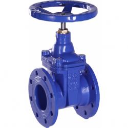 Cast Iron Gate Valve with Rubber Wedge buy on the wholesale