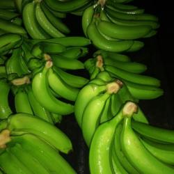 Бананы купить оптом