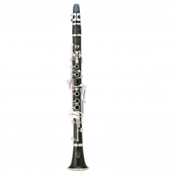 Buffet Crampon RC Prestige D Clarinet BC1407-2-0 buy on the wholesale