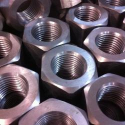 Incoloy 825 Hex Nuts buy on the wholesale