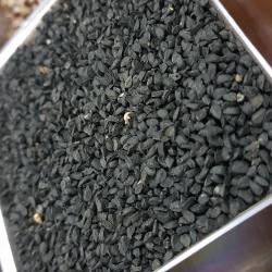 Семена черного тмина (Nigella Sativa) купить оптом