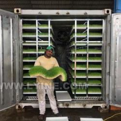 Гидропонная установка для выращивания растений и зеленого корма