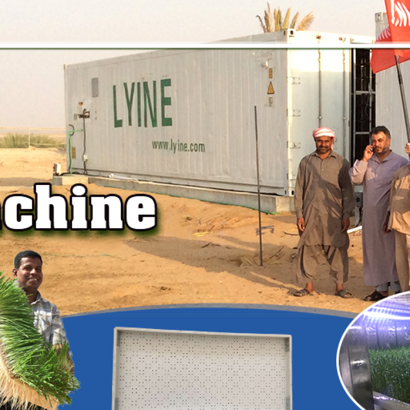 Автоматизированная установка для проращивания зерна купить оптом - компания Zhengzhou Lyine Machine And Equipment Co.,ltd | Китай