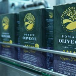 Масло оливковое рафинированное из жмыха оливок купить оптом