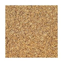 Рисовая шелуха (биомасса)