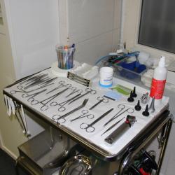 Veterinary Instruments buy on the wholesale