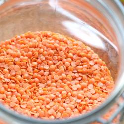 Red Lentil  buy on the wholesale