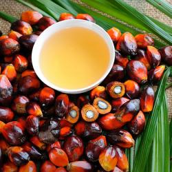 Пальмовое масло купить оптом