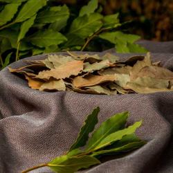 Сушеные лавровые листья сорт 2 купить оптом