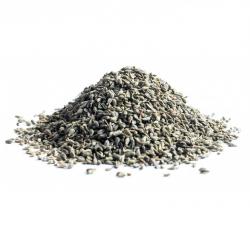 Anise Seeds buy on the wholesale