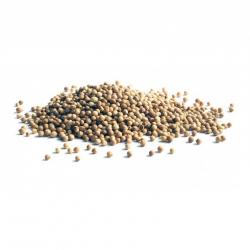 Семена кориандра (кинзы)