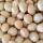 Ядра орехов макадамии купить оптом - компания Ty Traders Pty Ltd | Южная Африка