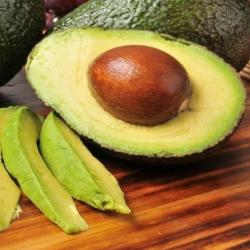 Avocados  buy on the wholesale
