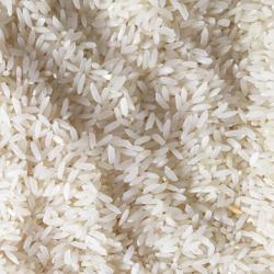 Среднезернистый рис Сона Масури купить оптом