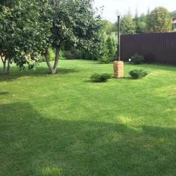 Rolled Multi Purpose Lawn Grass  buy on the wholesale