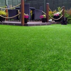 Rolled Standard Artificial Lawn Grass  buy on the wholesale