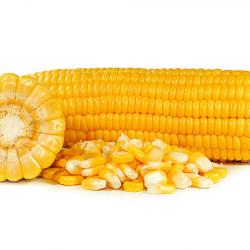 Желтая кукуруза