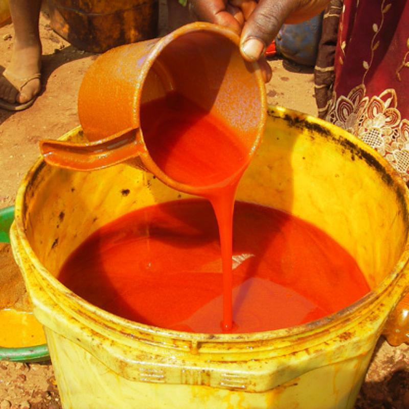 Пальмовое масло купить оптом - компания B-LABEL | Кот-д'Ивуар
