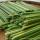Вьетнамские питьевые соломки из сухой травы купить оптом - компания HANG XANH CO.,LTD | Вьетнам