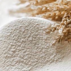 White Wheat Flour  buy on the wholesale