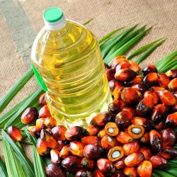 Пальмовое масло купить оптом