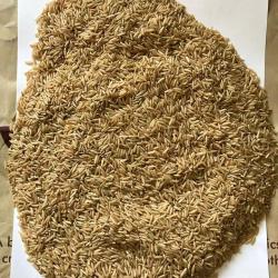 Коричневый рис длиннозерный