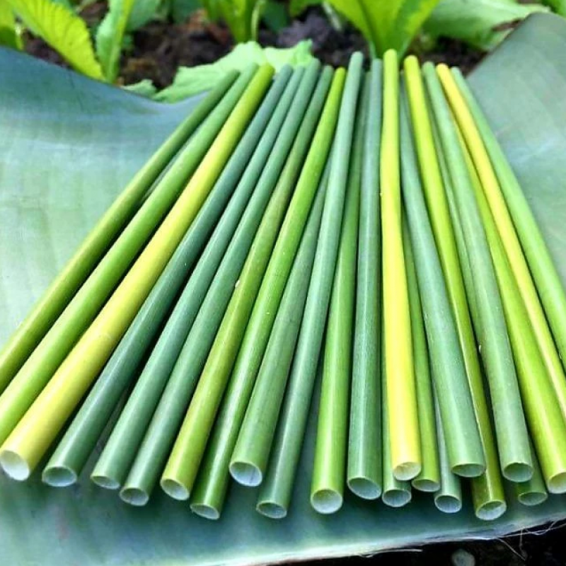 Травяные соломинки купить оптом - компания New Asian Trading and Services Company Limited | Вьетнам