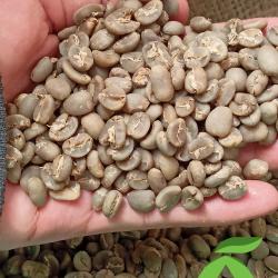 Кофе Арабика в зернах Суматра Гайо  купить оптом