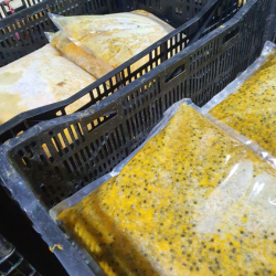 Frozen Passion Fruit Puree with Seeds 20 kg PE Packing