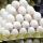 White Eggs buy wholesale - company Rilons India | India