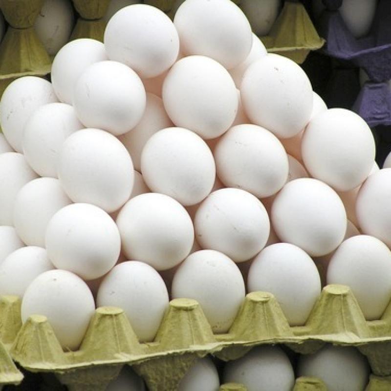 White Eggs buy wholesale - company Rilons India | India