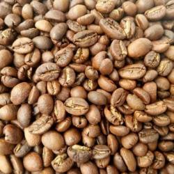 Кофе Робуста в зернах купить оптом