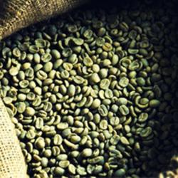 Зеленые кофейные зерна Арабика купить оптом