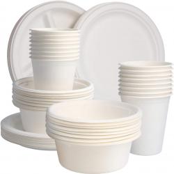 Disposable Tableware (Crockery) buy on the wholesale