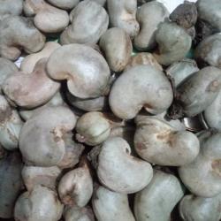 Raw Cashew Nuts 