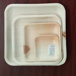 Areca Palm Leaf Square Plates  buy on the wholesale