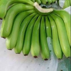 Бананы Кавендиш