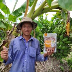 Сушеный Банан Оптом с завода Вьетнама купить оптом