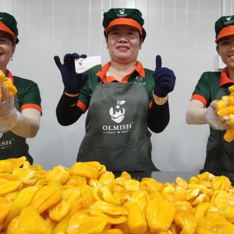 Dried Jackfruit from factory of Vietnam buy wholesale - company Olmish Asia Food Co.Ltd | Vietnam