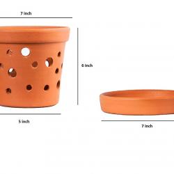 Terracotta Orchid Planters