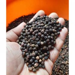 Black Pepper buy on the wholesale
