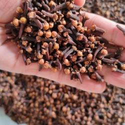 Cloves buy on the wholesale