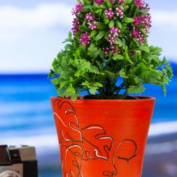 Terracotta Indoor Outdoor planter for Home Makeover купить оптом