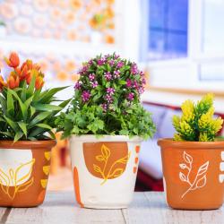 New Boho Designs Indoor Outdoor Planter set of 3  
