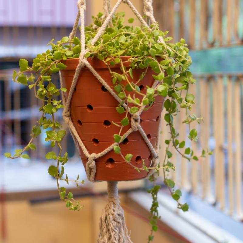 Terracotta Balcony Garden Planter Indoor Planter купить оптом - компания ArtiKart dotin | Индия