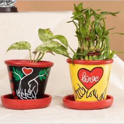 Spread Greenery in this Valentine with ClayPlanter