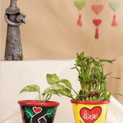 Fresh Valentine Gifts TERRACOTTA Planter/ TableTop купить оптом